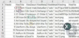 Excel Türkçe Karakter Sorunu