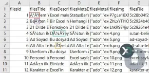 Excel Türkçe Karakter Sorunu Nasıl Düzeltilir